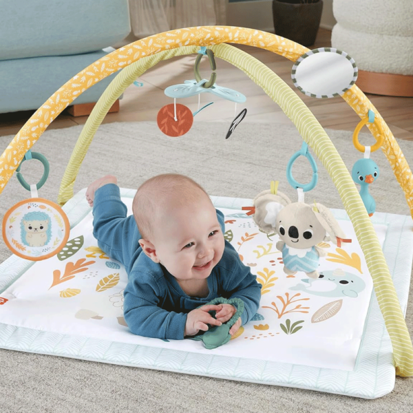 Ginásio Fisher-Price Desperta os Sentidos Autobrinca Online