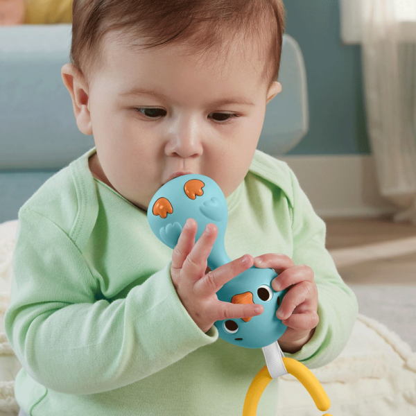Ginásio Fisher-Price Desperta os Sentidos Autobrinca Online