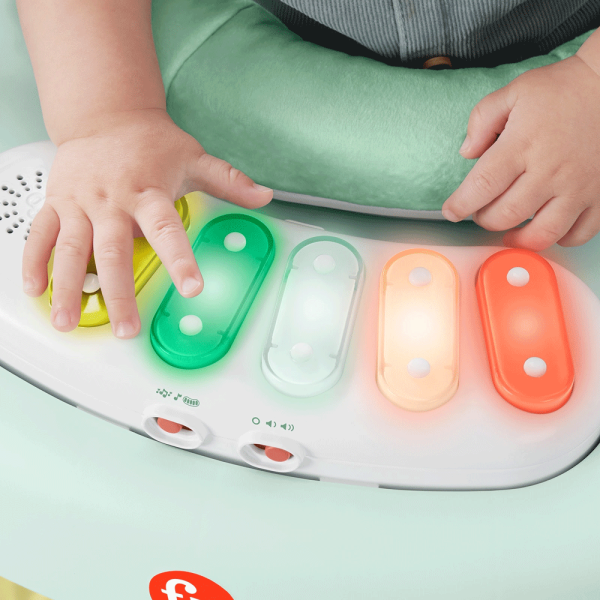 Centro de Atividades 3 em 1 Fisher-Price Snugapuppy Autobrinca Online