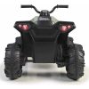 Quad Boxer 12V Feber Autobrinca Online