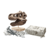 Kit Arqueologia Crânio T-Rex Autobrinca Online