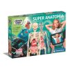 Super Anatomia Autobrinca Online