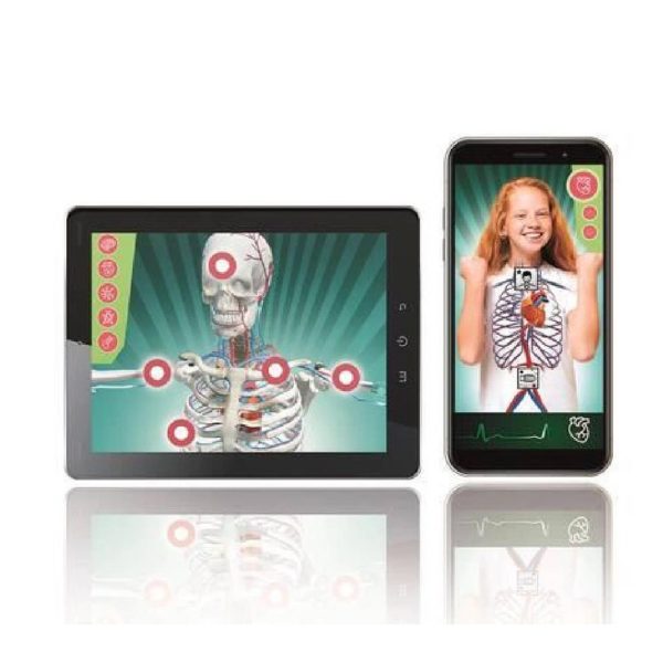 Super Anatomia Autobrinca Online