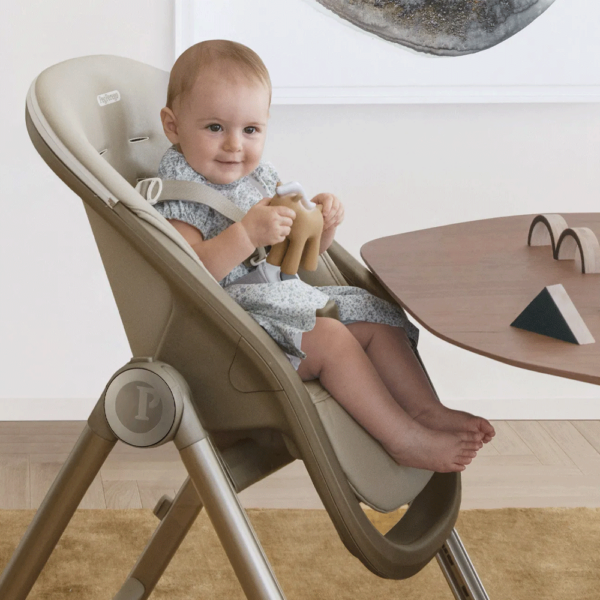 Cadeira de Papa Peg Perego Living True Black Autobrinca Online